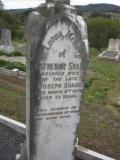 image of grave number 219064